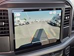 2025 Ford F-150 Regular Cab RWD Pickup for sale #F25T1579 - photo 12