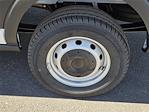 New 2026 Ford Transit 250 Medium Roof Empty Cargo Van for sale #F26T0120 - photo 5