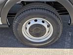 New 2026 Ford Transit 150 Low Roof Empty Cargo Van for sale #F26T0124 - photo 6