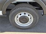 New 2026 Ford Transit 250 Medium Roof Empty Cargo Van for sale #F26T0183 - photo 6