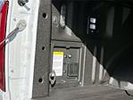 2024 Ford F-150 SuperCrew Cab 4WD Pickup for sale #F253017B - photo 6