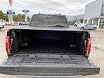 2024 Ford F-150 SuperCrew Cab 4WD Pickup for sale #F257045A - photo 6