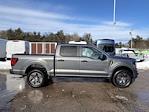 Used 2025 Ford F-150 STX SuperCrew Cab for sale #F257079 - photo 3