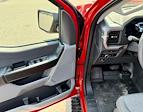 2025 Ford F-150 Super Cab 4WD Pickup for sale #F257087 - photo 12