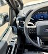 2025 Ford F-150 SuperCrew Cab 4x4 Pickup for sale #F257092 - photo 17