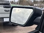 2025 Ford F-150 SuperCrew Cab 4WD Pickup for sale #F257101 - photo 31