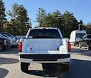 2025 Ford F-150 SuperCrew Cab 4WD Pickup for sale #F257123 - photo 6
