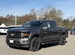 2025 Ford F-150 SuperCrew Cab 4WD Pickup for sale #F257147 - photo 10