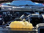 2023 Ford F-150 SuperCrew Cab 4WD Pickup for sale #F257162T - photo 10