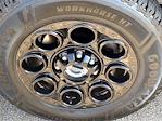 2022 Ford F-350 Crew Cab SRW 4x4 Pickup for sale #F258047A - photo 30