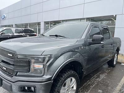 Used 2020 Ford F-150 Platinum SuperCrew Cab for sale #F265001A - photo 1