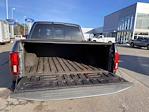 2020 Ford F-150 SuperCrew Cab 4WD Pickup for sale #F265001A - photo 5