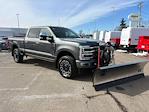 2024 Ford F-250 Crew Cab 4WD Plow Truck for sale #F269003A - photo 1