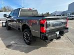 2024 Ford F-250 Crew Cab 4WD Plow Truck for sale #F269003A - photo 4