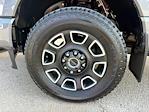 2024 Ford F-250 Crew Cab 4WD Plow Truck for sale #F269003A - photo 9