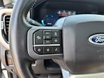 2023 Ford F-350 Crew Cab DRW 4x4 Pickup for sale #RV1999 - photo 20