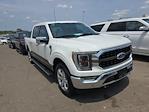 2023 Ford F-150 SuperCrew Cab 4x4 Pickup for sale #RV2115 - photo 3
