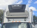 Used 2020 International MV Refrigerated Body for sale #227608 - photo 7