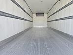 Used 2019 International DuraStar 4300 Refrigerated Body for sale #886244 - photo 9