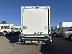Used 2020 International MV Cab Chassis for sale #271074 - photo 5