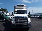 Used 2018 Freightliner Cascadia Refrigerated Body for sale #680782 - photo 3