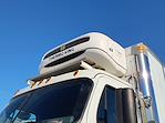 Used 2019 Freightliner Cascadia Refrigerated Body for sale #805866 - photo 7