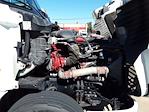 Used 2017 Freightliner Cascadia Cummins ISX Semi Truck with Sleeper Cab for sale #667679 - photo 10