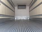 Used 2019 International DuraStar 4300 Refrigerated Body for sale #861643 - photo 9