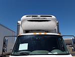 Used 2019 International DuraStar 4300 Refrigerated Body for sale #862012 - photo 7