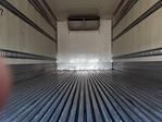 Used 2019 International DuraStar 4300 Refrigerated Body for sale #862017 - photo 9