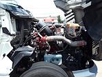 Used 2019 International LT Cummins X15, Signature Semi Truck for sale #873926 - photo 10