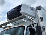 Used 2019 International DuraStar 4300 Refrigerated Body for sale #812266 - photo 7