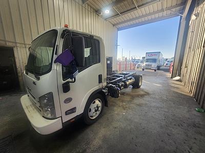 Used 2019 Isuzu NQR Regular Cab 4x2 Cab Chassis for sale #229144 - photo 1