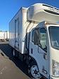 Used 2020 Isuzu NPR-XD Refrigerated Body for sale #252868 - photo 4