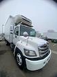 Used 2019 Hino 268A Single Cab Cab Chassis for sale #873367 - photo 3
