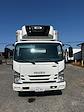 Used 2019 Isuzu NQR Refrigerated Body for sale #879995 - photo 3