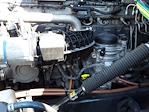 Used 2019 Freightliner Cascadia Detroit Diesel DD15 Semi Truck with Sleeper Cab for sale #864451 - photo 9