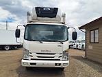 Used 2019 Isuzu NPR-XD Refrigerated Body for sale #880623 - photo 3