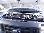 Used 2019 Ford E-350 Box Van for sale #247163 - photo 18