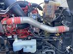 Used 2020 International LT Cummins X15, Signature Semi Truck for sale #280360 - photo 9