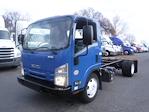 Used 2018 Isuzu NQR Regular Cab Cab Chassis for sale #808719 - photo 1