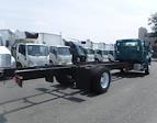 Used 2020 Freightliner M2 106 Conventional Cab Cab Chassis for sale #879156 - photo 5
