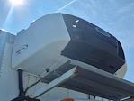 Used 2019 International MV Refrigerated Body for sale #229518 - photo 7