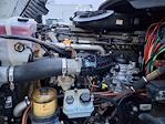 Used 2019 Freightliner Cascadia Detroit Diesel DD15 Semi Truck for sale #824571 - photo 8
