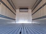 Used 2019 International DuraStar 4300 Refrigerated Body for sale #862038 - photo 9