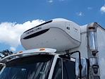 Used 2019 International DuraStar 4300 Refrigerated Body for sale #862042 - photo 7