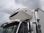 Used 2019 International DuraStar 4300 Refrigerated Body for sale #862043 - photo 7