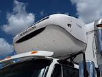 Used 2019 International DuraStar 4300 Refrigerated Body for sale #862050 - photo 7