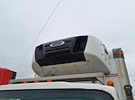 Used 2019 Isuzu NPR-XD Refrigerated Body for sale #242213 - photo 7