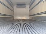 Used 2019 International DuraStar 4300 Refrigerated Body for sale #861631 - photo 9